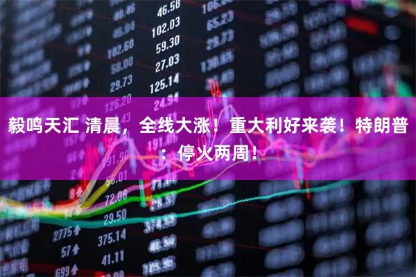 毅鸣天汇 清晨,全线大涨!重大利好来袭!特朗普:停火两周!